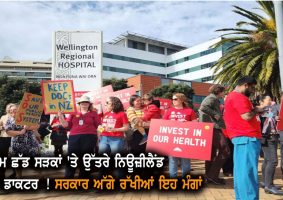 nz doctors dentists strike