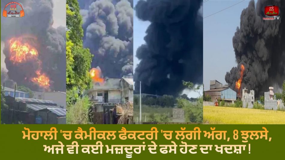 massive fire breaks out in mohali