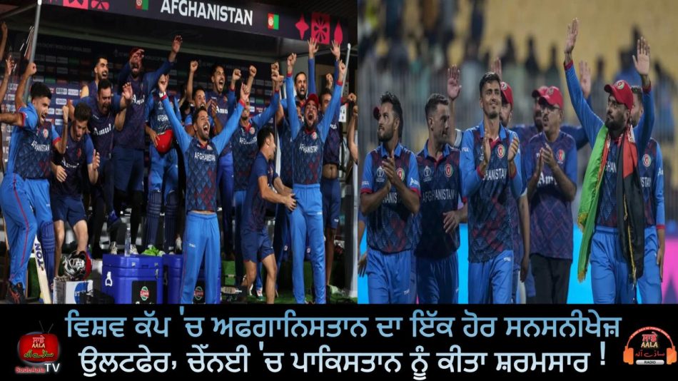 afghanistan beat pakistan by eight wickets