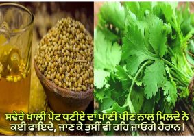 Coriander Drinking Water health Benefits