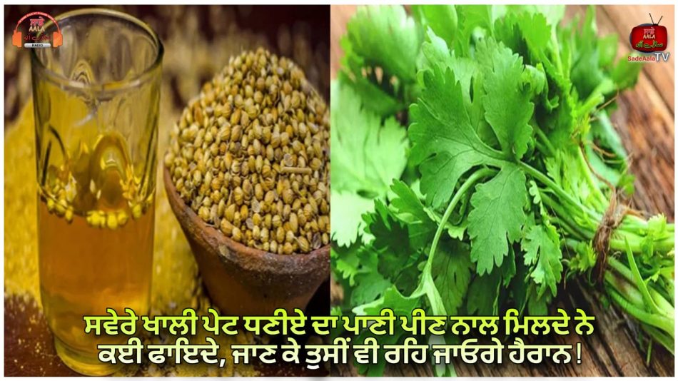 Coriander Drinking Water health Benefits