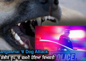 person critically injured in dog attack