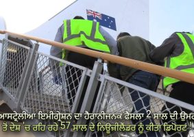 501 deported to nz despite