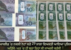 counterfeit currency operation busted in auckland