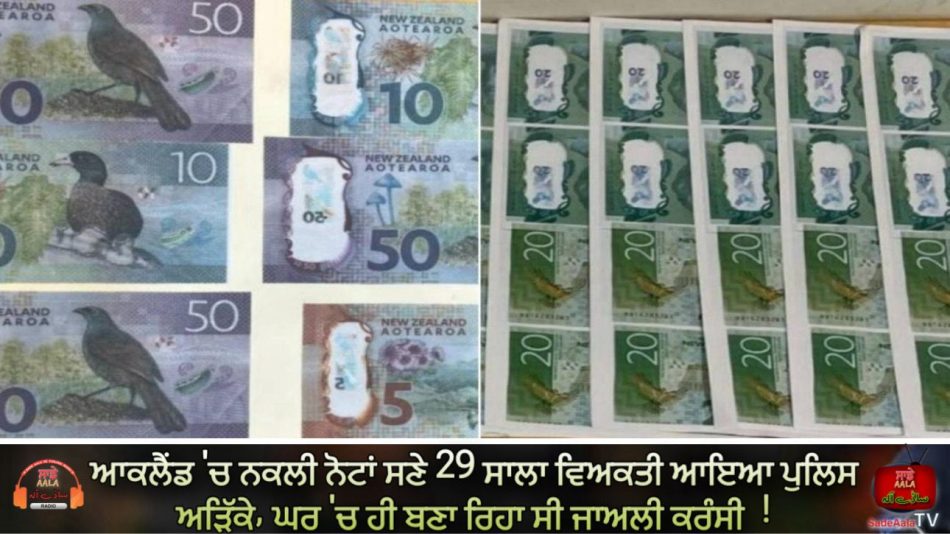 counterfeit currency operation busted in auckland