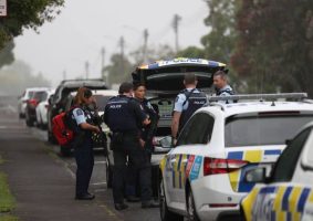 fired at a building in aucklands hobsonville