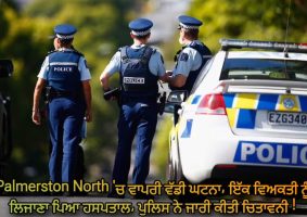 firearms incident in palmerston north