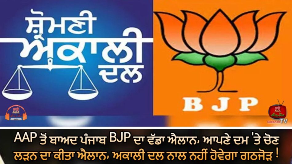 bjp-will-contest-lok-sabha-elections-alone