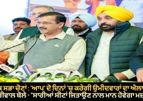 kejriwal and bhagwant mann started