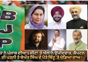 lok-sabha-bjp-fields-candidates