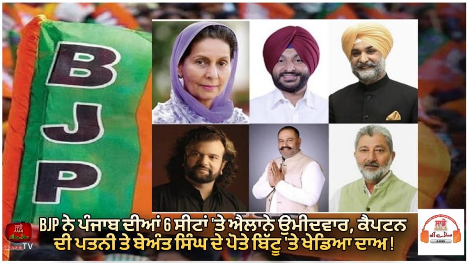 lok-sabha-bjp-fields-candidates