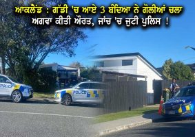 neighbours heard gunshots