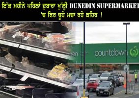 more rats found at dunedin supermarket