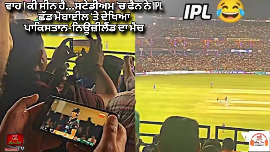 fan watching nz vs pak match in ipl