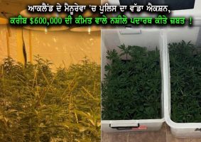 police seize 444kg of cannabis