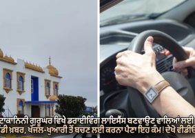 get driving license at Takanini Gurughar