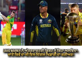 david-warner-has-retired-from-international-cricket