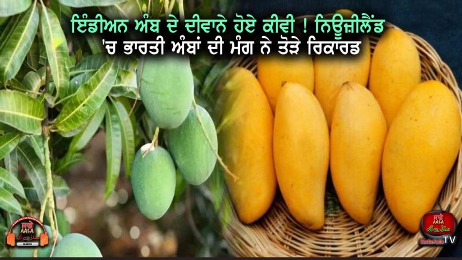 indian mango imports continue