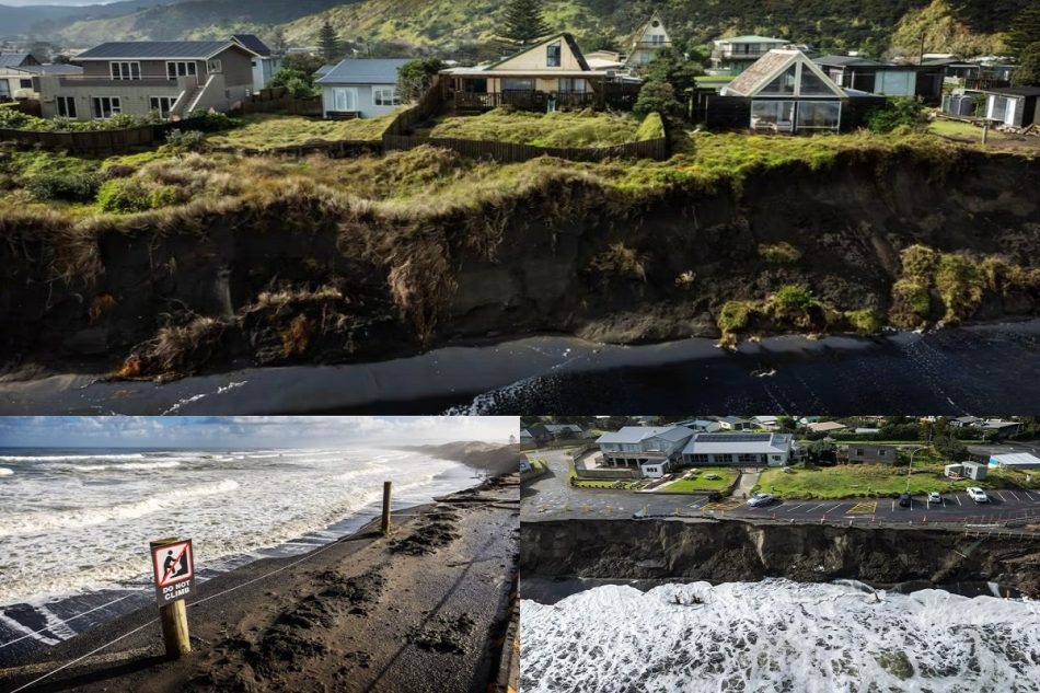 port waikato homes at serious risk