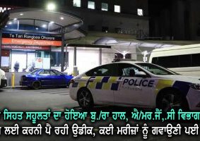 Tony Knott’s death in Middlemore Hospital’s