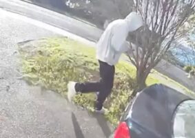 Tyre-slasher strikes Auckland suburb