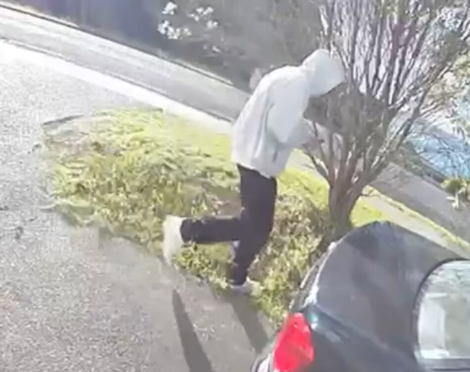 Tyre-slasher strikes Auckland suburb